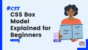 CSS Box Model Explained for Beginners